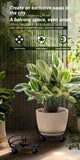 Darrahopens Home & Garden > Artificial Plants > Pots, Planters & Accessories Black Round Movable Plant Caddy with Wheels