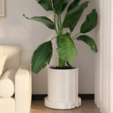 Darrahopens Home & Garden > Artificial Plants > Pots, Planters & Accessories CARLA HOME Rolling Plant Stand with 360° Wheels for Indoor Pots (26 cm)