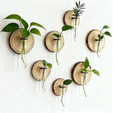 Darrahopens Home & Garden > Artificial Plants > Pots, Planters & Accessories Creative Test Tube Hydroponic Vase-Set of 6