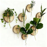 Darrahopens Home & Garden > Artificial Plants > Pots, Planters & Accessories Creative Test Tube Hydroponic Vase-Set of 6