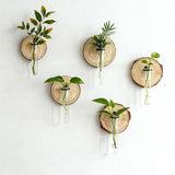 Darrahopens Home & Garden > Artificial Plants > Pots, Planters & Accessories Creative Test Tube Hydroponic Vase-Set of 6