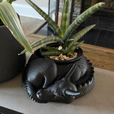 Darrahopens Home & Garden > Artificial Plants > Pots, Planters & Accessories Dragon Planter, 3D Printed, Fantasy Decor, Dragon Pot, Dragon Bowl, Dragon Dish