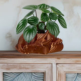 Darrahopens Home & Garden > Artificial Plants > Pots, Planters & Accessories Dragon Planter, 3D Printed, Fantasy Decor, Dragon Pot, Dragon Bowl, Dragon Dish