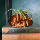 Darrahopens Home & Garden > Artificial Plants > Pots, Planters & Accessories Dragon Planter, 3D Printed, Fantasy Decor, Dragon Pot, Dragon Bowl, Dragon Dish