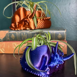Darrahopens Home & Garden > Artificial Plants > Pots, Planters & Accessories Dragon Planter, 3D Printed, Fantasy Decor, Dragon Pot, Dragon Bowl, Dragon Dish