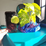 Darrahopens Home & Garden > Artificial Plants > Pots, Planters & Accessories Dragon Planter, 3D Printed, Fantasy Decor, Dragon Pot, Dragon Bowl, Dragon Dish