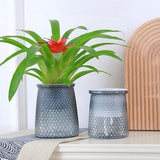 Darrahopens Home & Garden > Artificial Plants > Pots, Planters & Accessories Flower pots - Plastic flower pots - sustainable garden supplies - hydroponic flower pots - visible water level - With absorbent cotton rope - Ø 10 x H 12 cm - Gray