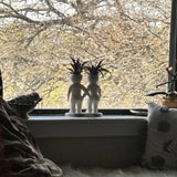 Darrahopens Home & Garden > Artificial Plants > Pots, Planters & Accessories Funny Couple Air Plant Holder - Cheeky Anniversary Gift