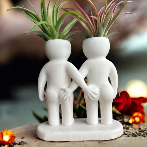 Darrahopens Home & Garden > Artificial Plants > Pots, Planters & Accessories Funny Couple Air Plant Holder - Cheeky Anniversary Gift