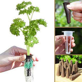 Darrahopens Home & Garden > Artificial Plants > Pots, Planters & Accessories Hydroponics Plant Growing System 12 Pods Indoor Herb Garden Kit Led Light 4L WHITE