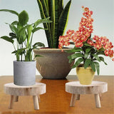 Darrahopens Home & Garden > Artificial Plants > Pots, Planters & Accessories Mini Wooden Pallet Display Plant Stand Decorative Wooden Plant Pallet Bonsai Holder for Indoor Outdoor Home Garden C