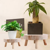 Darrahopens Home & Garden > Artificial Plants > Pots, Planters & Accessories Mini Wooden Pallet Display Plant Stand Decorative Wooden Plant Pallet Bonsai Holder for Indoor Outdoor Home Garden C