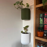 Darrahopens Home & Garden > Artificial Plants > Pots, Planters & Accessories Modern Minimalist Mounted Planter, Indoor, Hidden Wall Mount, Home Decor, Home Gift, Wall Planter, Hidden Drip Tray