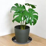 Darrahopens Home & Garden > Artificial Plants > Pots, Planters & Accessories Plant bowls - 6 pieces - Round plant bowls - For flower pots, garden bowls and planters - Black
