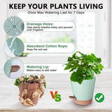Darrahopens Home & Garden > Artificial Plants > Pots, Planters & Accessories Planters - Self-watering succulents - Set of 6 tabletop planters - Minimalist design