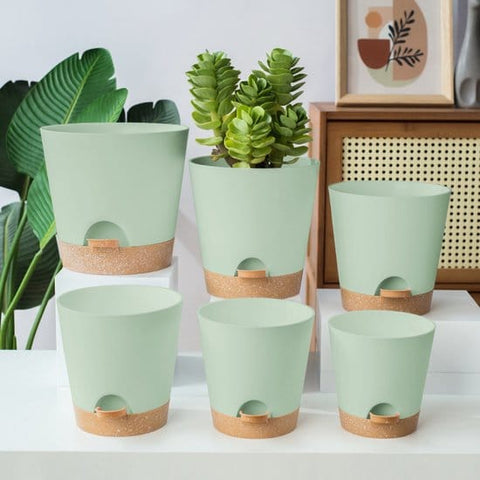 Darrahopens Home & Garden > Artificial Plants > Pots, Planters & Accessories Planters - Self-watering succulents - Set of 6 tabletop planters - Minimalist design