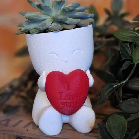 Darrahopens Home & Garden > Artificial Plants > Pots, Planters & Accessories Valentine's Day Mini Flower Pot - Heart-Shaped Succulent (White and Red)
