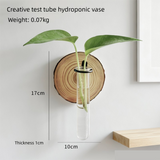 Darrahopens Home & Garden > Artificial Plants > Pots, Planters & Accessories Wall-Mounted Hydroponic Plant Test TubeFlower Pot for Indoor Plants & Cuttings