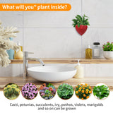 Darrahopens Home & Garden > Artificial Plants > Pots, Planters & Accessories Wall Mounted Planter - NO DRILLING,Houseplant Wall Display Ideas,3D Printed Wall Planter with Drainage Tray