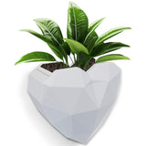 Darrahopens Home & Garden > Artificial Plants > Pots, Planters & Accessories Wall Mounted Planter - NO DRILLING,Houseplant Wall Display Ideas,3D Printed Wall Planter with Drainage Tray