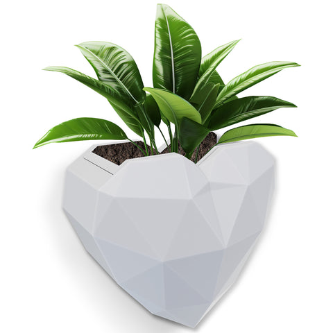 Darrahopens Home & Garden > Artificial Plants > Pots, Planters & Accessories Wall Mounted Planter - NO DRILLING,Houseplant Wall Display Ideas,3D Printed Wall Planter with Drainage Tray