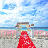 Darrahopens Home & Garden > Bathroom Accessories > Bath Mats & Rugs 10M Red Carpet Aisle Runner Awards Night Casino Wedding Party Event Mats Decor
