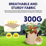 Darrahopens Home & Garden > Bathroom Accessories > Shower Accessories 10-Pack 3-Gallon Fabric Grow Bags – Heavy-Duty Breathable Non-Woven Plant Pots with Handles for Vegetables, Herbs, Flowers (Camel)