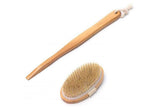 Darrahopens Home & Garden > Bathroom Accessories > Shower Accessories 2 Pieces Long Handle Back Shower Brush with Detachable Hand Strap