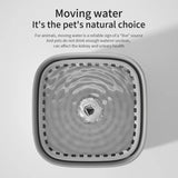 Darrahopens Home & Garden > Bathroom Accessories > Shower Accessories 3L Cat Water Fountain Large Filter USB