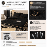 Darrahopens Home & Garden > Bedding > Bed Sheets Black and Gold European Soft Brushed Quilted Bed Skirt + 2 Pillowcases Set - Breathable Padded 200 x 220CM Mattress Cover with Lace Trim and 45CM Elevated Valance, All Season Dust Protection In Australia - Darrahopens