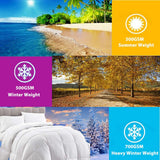 Darrahopens Home & Garden > Bedding > Quilts & Duvets Goose Feather Down Quilt 500 GSM Duvet Doonas Queen:210x210cm