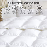 Darrahopens Home & Garden > Bedding > Quilts & Duvets Goose Feather Down Quilt 700 GSM Duvet DoonasQueen:210x210cm