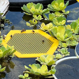 Darrahopens Home & Garden > Decor > Garden Ornaments 2PCS S 180x160x3mm Purple Floating Bee Saver Waterer - Safe Drinking Platform for Garden Ponds & Bird Baths