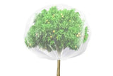 Darrahopens Home & Garden > Decor > Garden Ornaments Bird Netting for Garden Protection Garden Netting Pest Barrier with Drawstring
