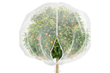 Darrahopens Home & Garden > Decor > Garden Ornaments Bird Netting for Garden Protection Garden Netting Pest Barrier with Drawstring