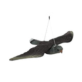 Darrahopens Home & Garden > Decor > Garden Ornaments Garden Eagle Rodent and Bird Scaring Simulation Eagle Outdoor Decoration Yard