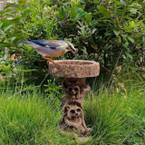 Darrahopens Home & Garden > Decor > Garden Ornaments Raccoon Resin Bird Bath Feeder for Garden Decor, Tree Stump Style Outdoor Bird Feeder, 9.8 x 6.6 x 5.9 in