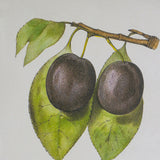 Darrahopens Home & Garden > Decor > Garden Ornaments Set 2 Botanical Wall Decor 70cm