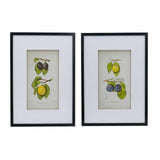 Darrahopens Home & Garden > Decor > Garden Ornaments Set 2 Botanical Wall Decor 70cm