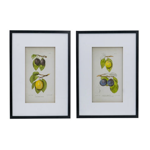 Darrahopens Home & Garden > Decor > Garden Ornaments Set 2 Botanical Wall Decor 70cm