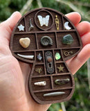 Darrahopens Home & Garden > Decor > Garden Ornaments Wooden display stand for mini curiosities,Mushroom