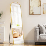 Darrahopens Home & Garden > Decor > Mirrors Embellir Full Length Mirror Floor Dressing Mirror 160cm