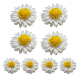 Darrahopens Home & Garden > Decor > Vases & Table Decor 8PCS Sunflower Daisy Paper Flowers 20cm/30cm Wall Hanging Party Room Decoration