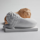 Darrahopens Home & Garden > Decor > Vases & Table Decor Classic Reclining Lion Sculpture Minimalist White Plaster Desk Ornament for Living Room, Study, or Office Decoration