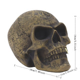 Darrahopens Home & Garden > Decor > Vases & Table Decor Mystic Runic Skull Statue with Gold Fang - Hand-Painted Resin Figurine for Gothic & Halloween Decor