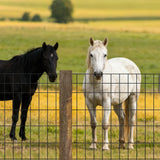 Darrahopens Home & Garden > Decor > Vases & Table Decor VEVOR Farm Fence,  122cm x 15.2m, 2 x 4 in Mesh 14 Gauge Galvanized Steel Wire Fencing for Cattle, Hog & Sheep , Heavy Duty Vinyl Coated Livestock Fence for Animal Enclosures, Cage Wire, Garden Fences