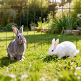 Darrahopens Home & Garden > Decor > Vases & Table Decor VEVOR Hardware Cloth 91cm x 7.62m, 2 x 3 in Mesh 16 Gauge Galvanized Wire Mesh Roll, Weather-Resistant Vinyl Coated Chicken Wire Fencing, Heavy Duty Welded Garden Plant Fencing for Rabbit Cage Snake