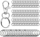 Darrahopens Home & Garden > DIY > Hardware Hooks Small Stainless Steel Keychains - 100 Pieces Carabiner Keychains - DIY - DIY Ring - Snap Closure with Turning Button - (Silver)