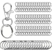 Darrahopens Home & Garden > DIY > Hardware Hooks Small Stainless Steel Keychains, 100pcs Carabiner Keychains, DIY, DIY Ring, Button Lock, (Silver)