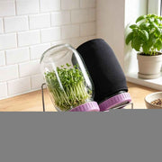 2-Pack Seed Sprouting Jar – Odor-Free, Safe & Rust-Resistant, Sturdy & Durable for Sprouting Broccoli, Beans & Alfalfa